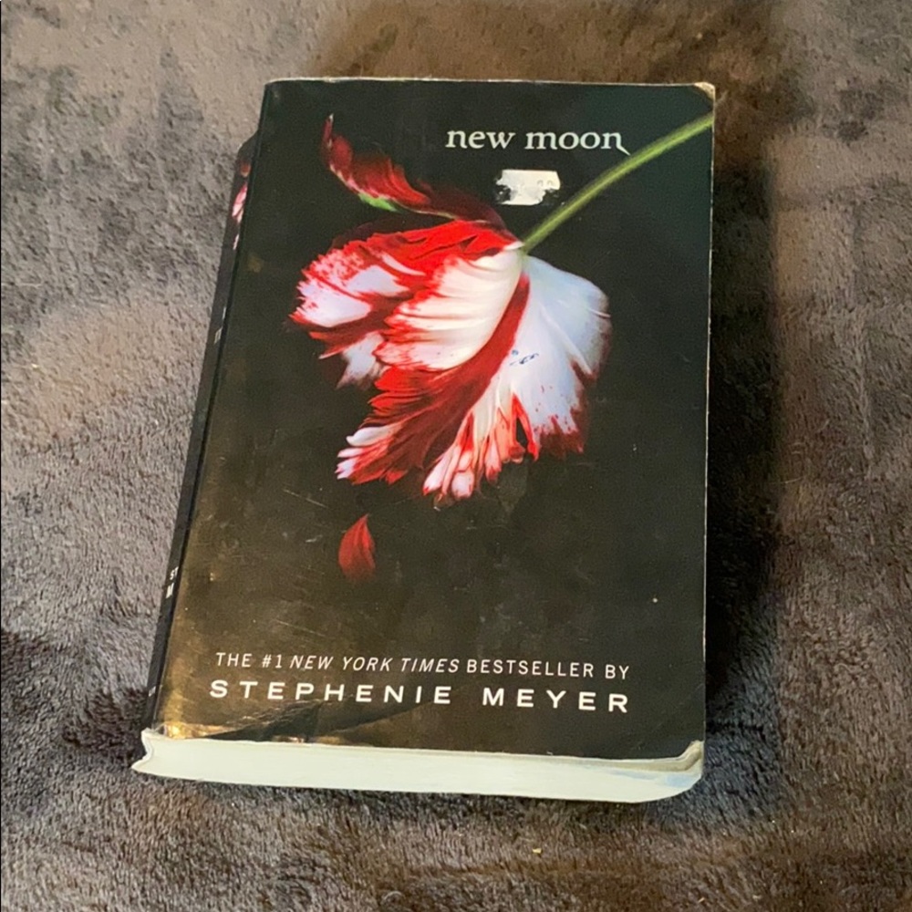 New moon book